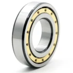 SKF Single Row Cylindrical Roller Bearing Nu1010m-Nu1018m