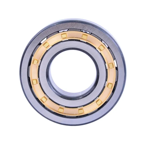 NF305 Cylindrical Roller Bearing for Electric Generators – High-Speed Radial Load Support - 2