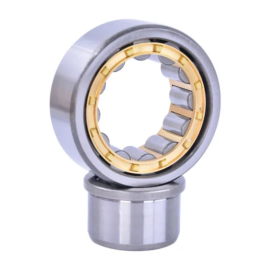 NF305 Cylindrical Roller Bearing for Electric Generators – High-Speed Radial Load Support - 3