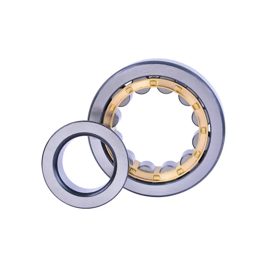 NF305 Cylindrical Roller Bearing for Electric Generators – High-Speed Radial Load Support - 5