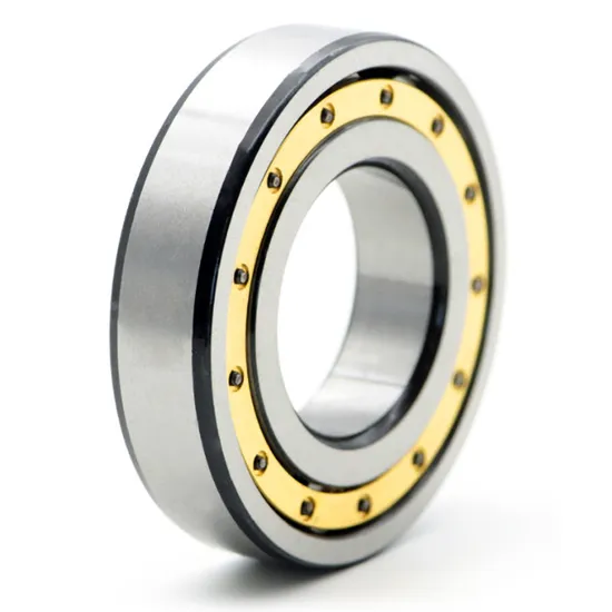 NJ305ETN1 cylindrical roller bearing for vibrating screen applications
