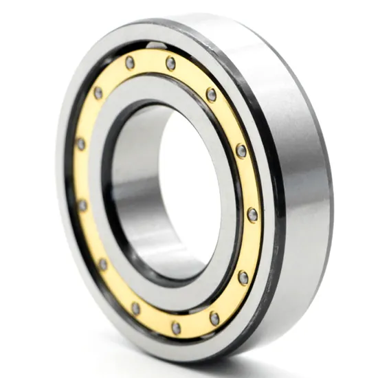 Cylindrical Roller Bearing NU406 for Motor & Water Pump Applications - 3