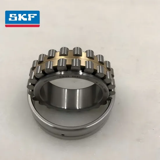 Large Size Double Row Cylindrical Roller Bearing for Heavy Equipment with C3 Clearance