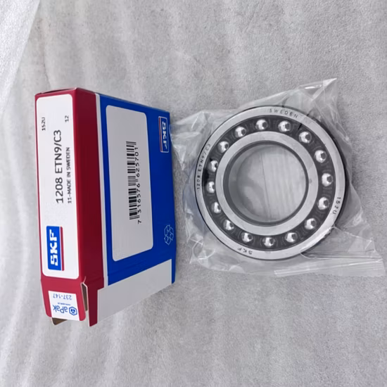 2200e-2RS1tn9 Self-Aligning Ball Bearing with Double Seals Authorized - 2