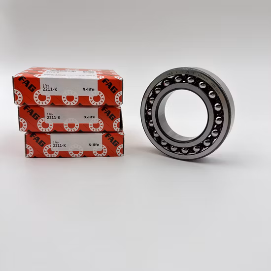 2206 E-2RS1tn9 Self-Aligning Ball Bearing 2203-2RS 2204-2RS 2205-2RS