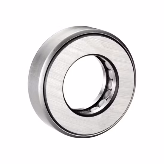High Precision SKF Thrust Roller Bearing 81218-Tn for CNC Machine Tools Global Export - 3