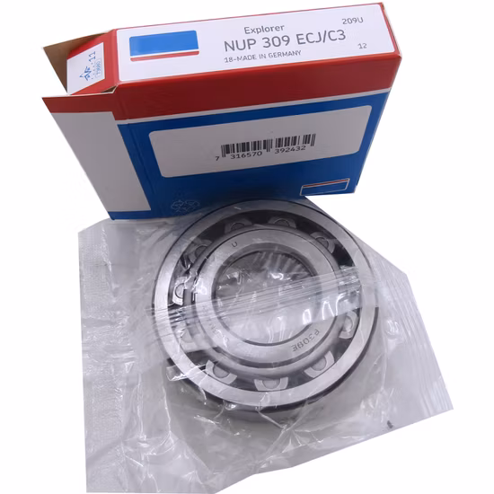 NUP NU Cylindrical Roller Bearings Single Row ECP Supplier - 5