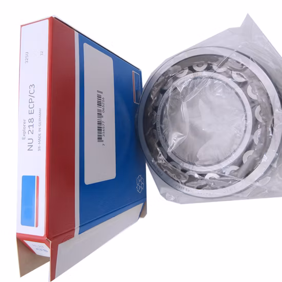 Original NJ305-NJ309 E M Cylindrical Roller Bearings Authorized Supplier - 6