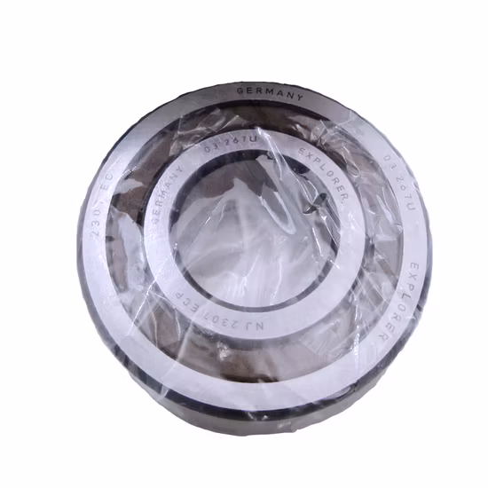 Original NJ305-NJ309 E M Cylindrical Roller Bearings Authorized Supplier - 3